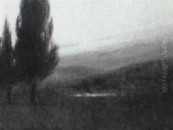 Hazy Landscape With Tall Pines - view 1