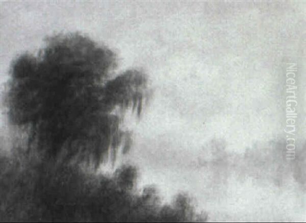 Bayou Peninsula With Cypress - view 1
