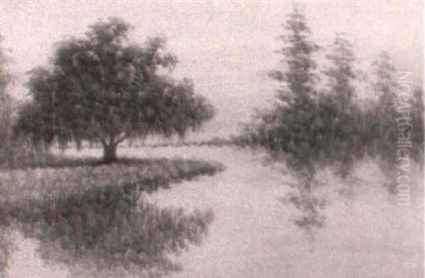 Bayou With Live Oaks And Cypresses - view 1