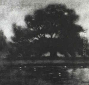 City Park Oak And Lagoon