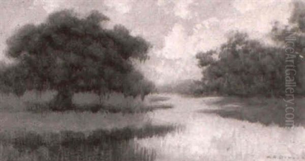 Bayou Scene With Oak Tree And Bushes - view 1