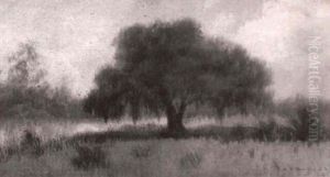 Bayou Scene With Oak Tree