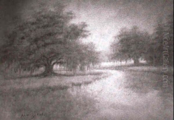 Bayou Scene With Live Oaks And Cypresses - view 1