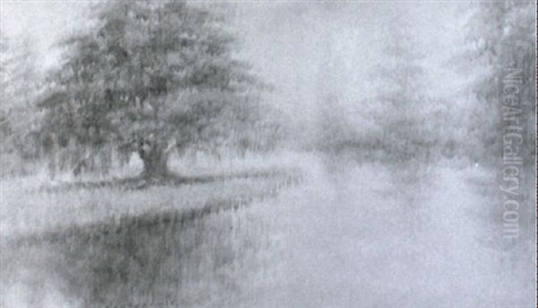 City Park - view 1