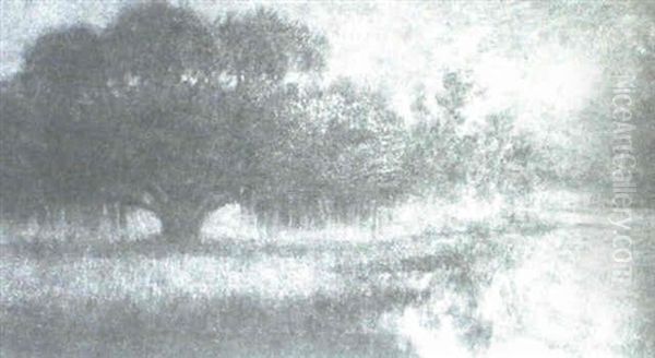 Oak Tree On A Bayou Peninsula - view 1