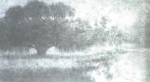 Oak Tree On A Bayou Peninsula
