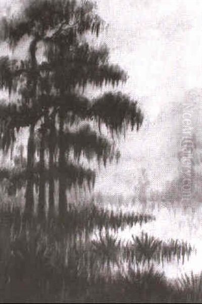 Cypresses - view 1