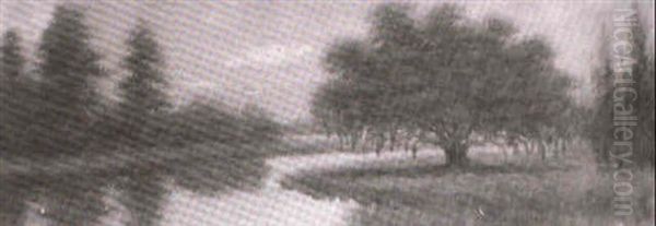 Oak Tree On A Bayou Peninsula - view 1