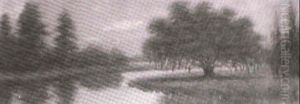 Oak Tree On A Bayou Peninsula