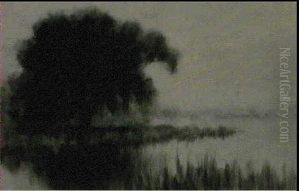 Swamp Scene - view 1