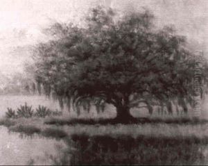 Live Oak Live Oak
