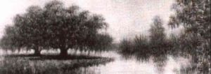 Live Oaks And Cypress On The Bayou by Alexander John Drysdale
