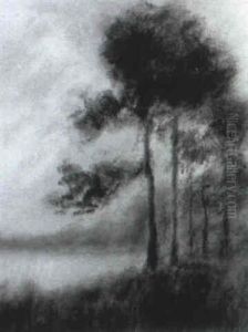 Pine Trees On The River Bank