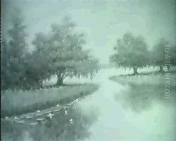 Live Oaks Along A Bayou - view 1