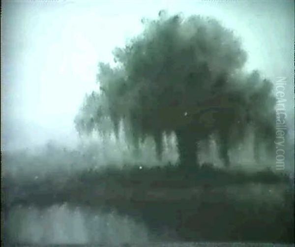 Live Oak - view 1
