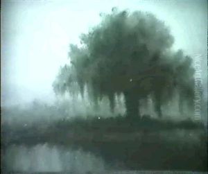 Live Oak Live Oak