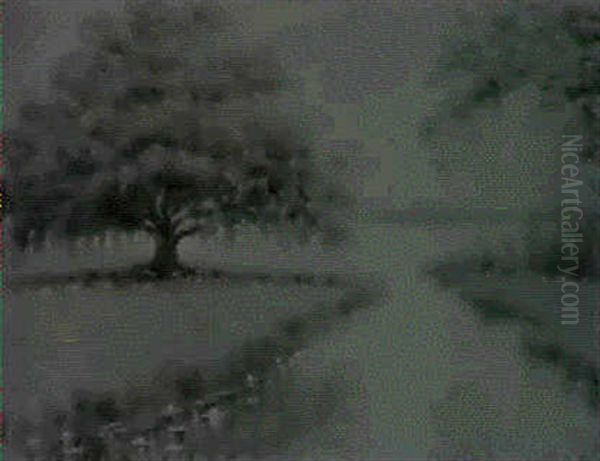 Sunny Bayou Scene With A Live Oak - view 1