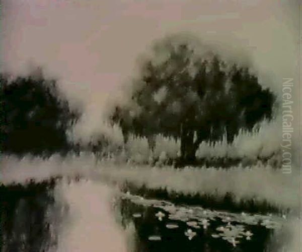 Bayou Landscape With Live Oak - view 1