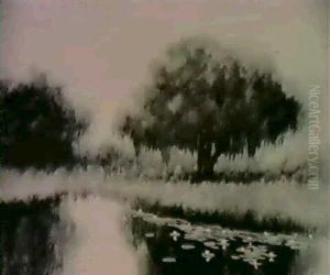 Bayou Landscape With Live Oak
