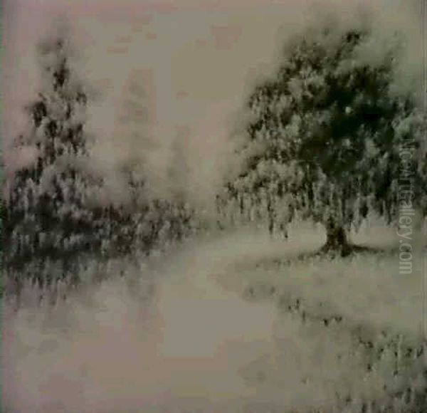 Live Oak And Cypress Trees - view 1