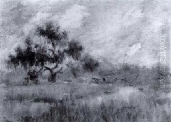 Livestock In A Louisiana Landscape - view 1