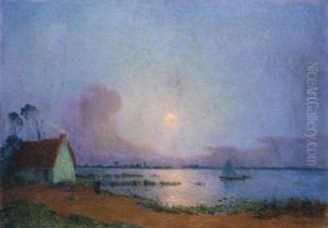 Nuit Bleutee Sur Le Marais De La Grande Briere