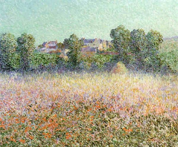 Champ De Coquelicots En Fleur - view 1