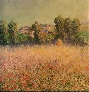 Champ De Cocquelicots En Fleurs by Ferdinand du Puigaudeau