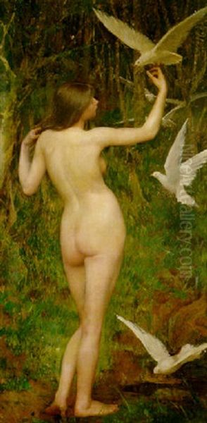 Wood Nymph - view 1