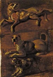 Studies Of Dogs (3 Works) by Eduard Dubois
