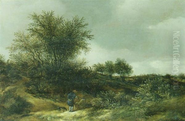 Dunenlandschaft In Der Umgebung Von Haarlem - view 1
