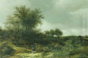 Dunenlandschaft In Der Umgebung Von Haarlem