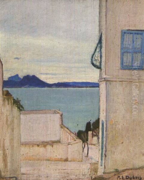 Maisons A Sidi Bou-said - view 1