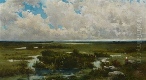 Marais En Campine - view 1