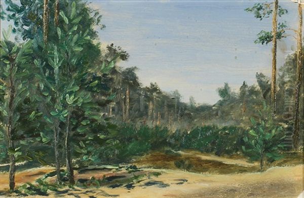 Forest Edge - view 1
