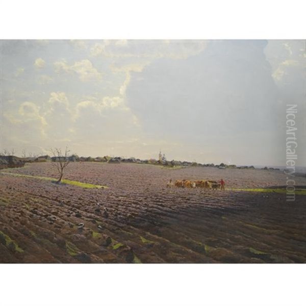 The Land - view 1