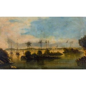 Sudamerikanische Bucht Mit Schiffen Und Palmen