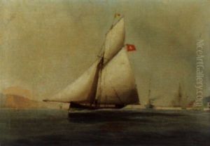 Segelschiffe Auf Dem Genfersee