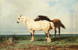 Deux Chevaux by Alexandre Dubuisson