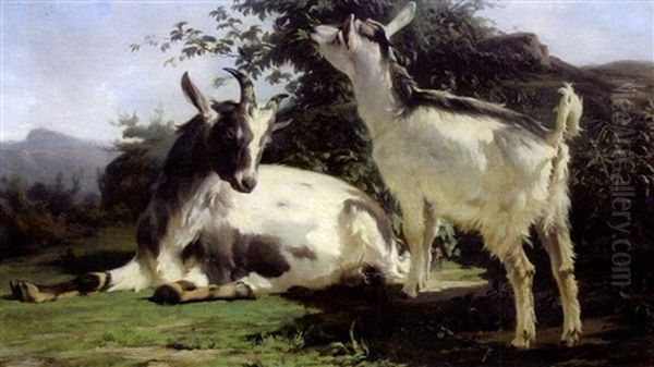 Chevre Et Son Chevreau - view 1