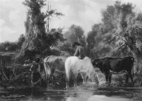 The Cool Of A Summer Stream - view 1