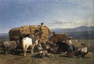 The Hayfield