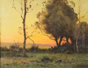 Coucher De Soleil by Daniel Duchemin