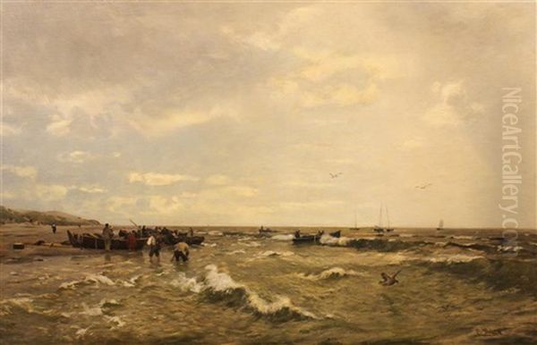 Seashore - view 1