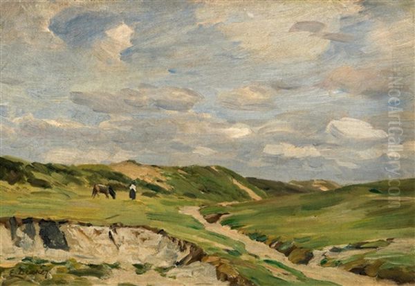 In Den Dunen - view 1