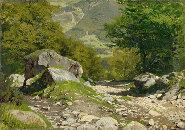 Sommerliche Gebirgslandschaft - view 1
