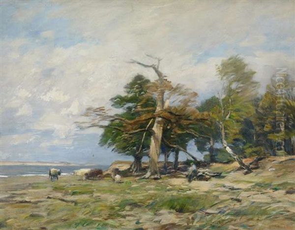 An Der Ostseekuste - view 1