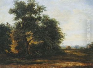 Waldlandschaft Mit Dorf Im Hintergrund Waldlandschaft Mit Dorf Im Hintergrund