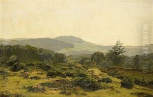 In Der Hocheifel