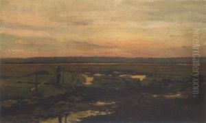 Marschlandschaft